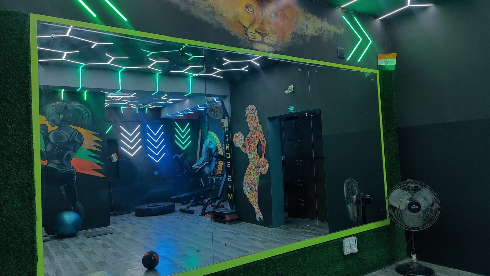 Mirrors & Neon Lighting — Rhinos Gym Jatani